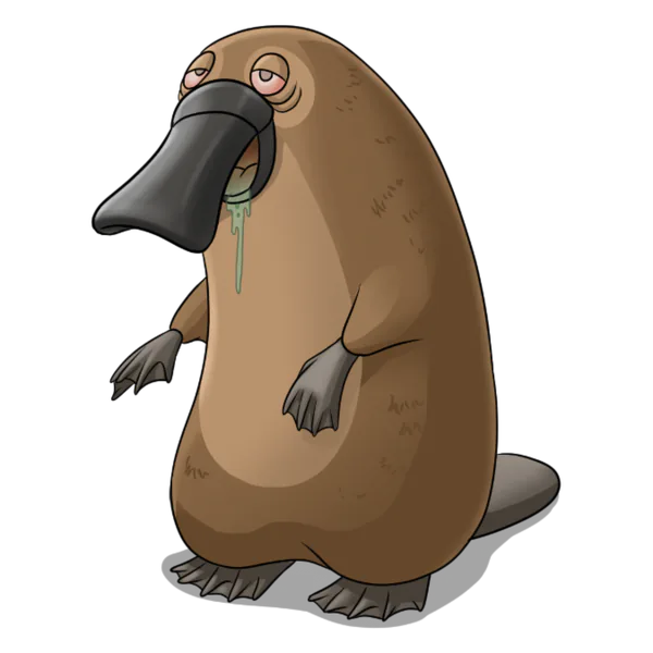 Platydrool