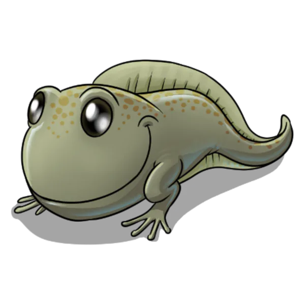 Tadlio